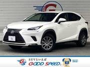 2019 LEXUS NX