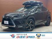 2019 LEXUS NX