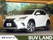 2019 LEXUS NX