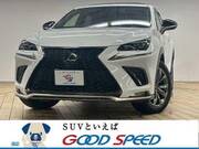 2018 LEXUS NX