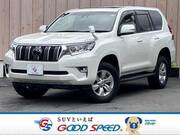 2019 TOYOTA LAND CRUISER PRADO TX