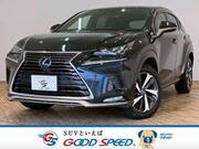 2020 LEXUS NX