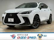 2022 LEXUS NX