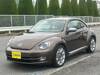 VOLKSWAGEN THE BEETLE