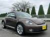 VOLKSWAGEN THE BEETLE