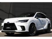 2025 LEXUS RX