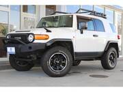 2010 TOYOTA FJ CRUISER