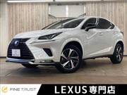 2020 LEXUS NX