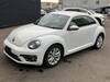 VOLKSWAGEN THE BEETLE