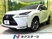 2014 LEXUS NX
