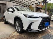 2022 LEXUS NX