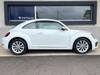 VOLKSWAGEN THE BEETLE