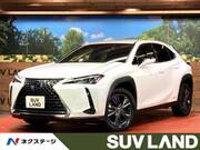 2019 LEXUS UX