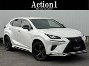 2020 LEXUS NX