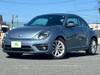 VOLKSWAGEN THE BEETLE