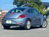 VOLKSWAGEN THE BEETLE