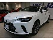 2024 LEXUS RX