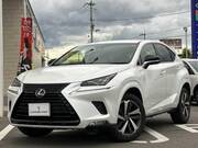 2019 LEXUS NX