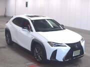 2020 LEXUS UX