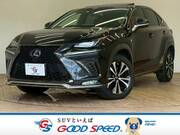 2018 LEXUS NX