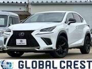 2019 LEXUS NX