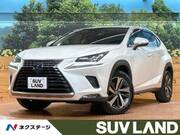 2019 LEXUS NX