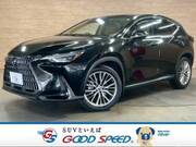 2022 LEXUS NX