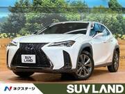 2020 LEXUS UX