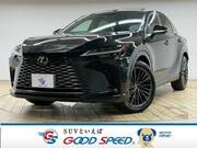 2024 LEXUS RX