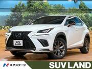 2019 LEXUS NX