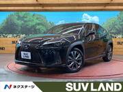 2018 LEXUS UX