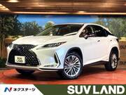 2020 LEXUS RX
