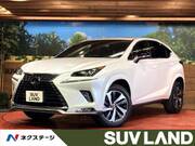 2020 LEXUS NX