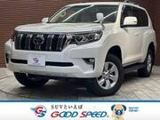 2020 TOYOTA LAND CRUISER PRADO TX