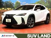 2019 LEXUS UX