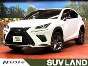 2020 LEXUS NX