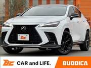 2024 LEXUS NX