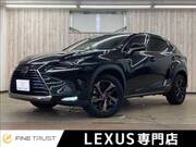 2019 LEXUS NX