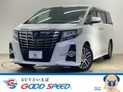 2015 TOYOTA ALPHARD S CPACKAGE
