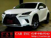 2018 LEXUS NX