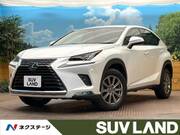 2018 LEXUS NX