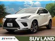 2020 LEXUS NX