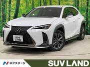 2019 LEXUS UX