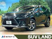 2021 LEXUS NX