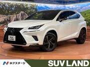 2020 LEXUS NX