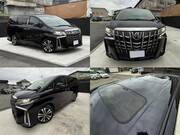 2019 TOYOTA VELLFIRE HYBRID