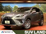 2019 LEXUS NX