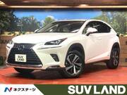 2019 LEXUS NX