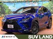 2019 LEXUS NX