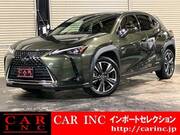 2019 LEXUS UX
